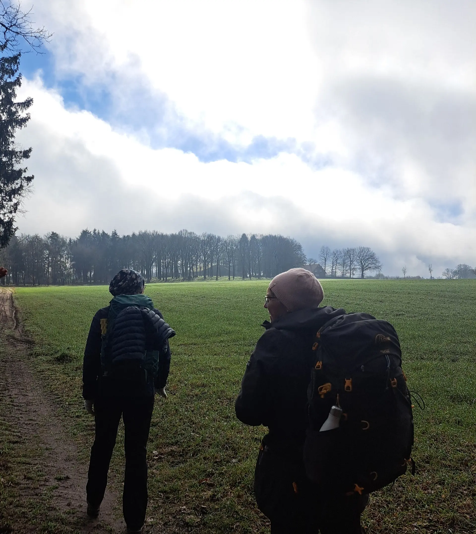 Wanderbild aus der Wildeshauser Geest | © Elena Selders