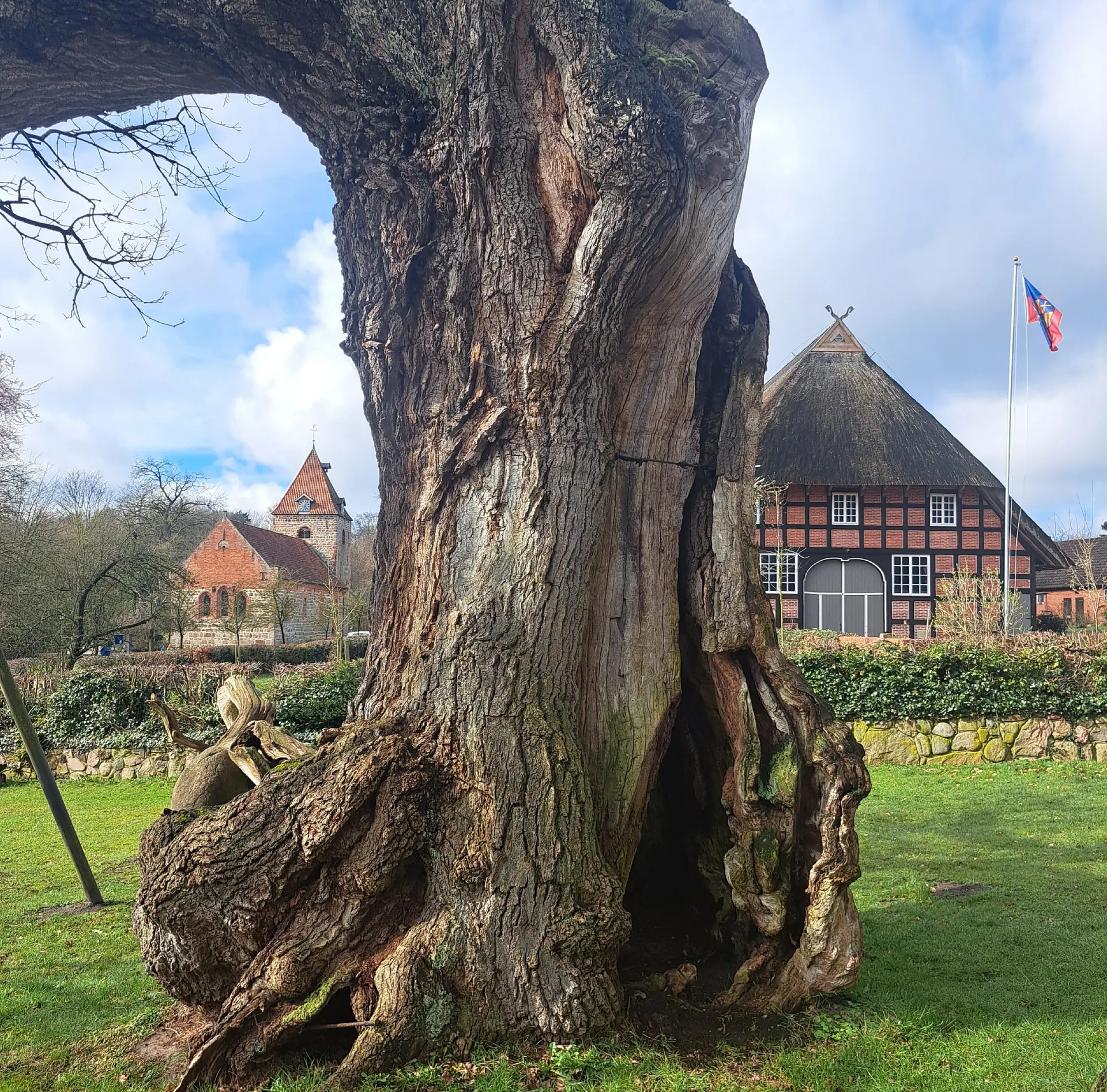 Wanderbild aus der Wildeshauser Geest | © Elena Selders