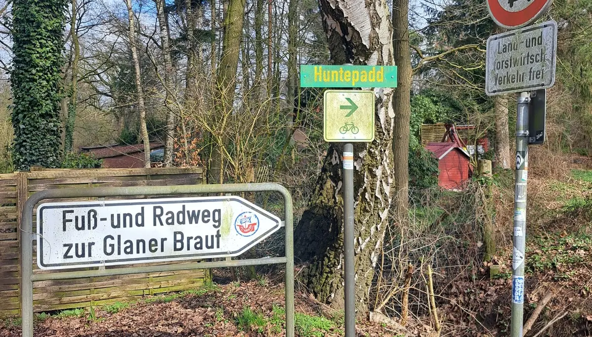 Wanderbild aus der Wildeshauser Geest | © Elena Selders