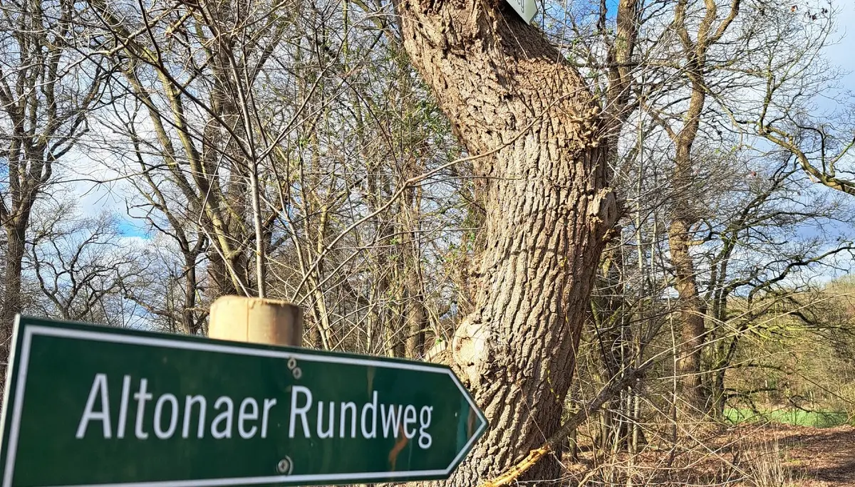 Wanderbild aus der Wildeshauser Geest | © Elena Selders