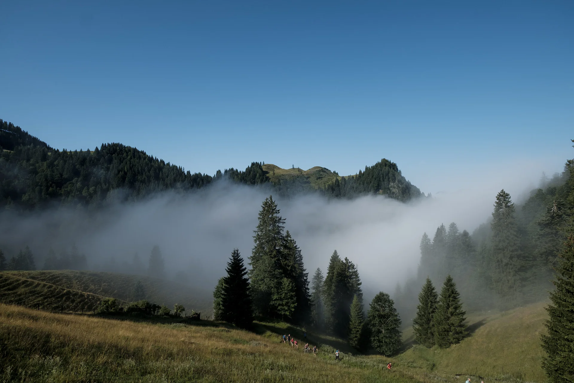 Baumgruppe im Nebel | © DAV/Hans Herbig Baumgruppe im NebelEine Wandergruppe läuft durch ein nebelverhangenes Tal im Chiemgau. | © DAV/Hans Herbig