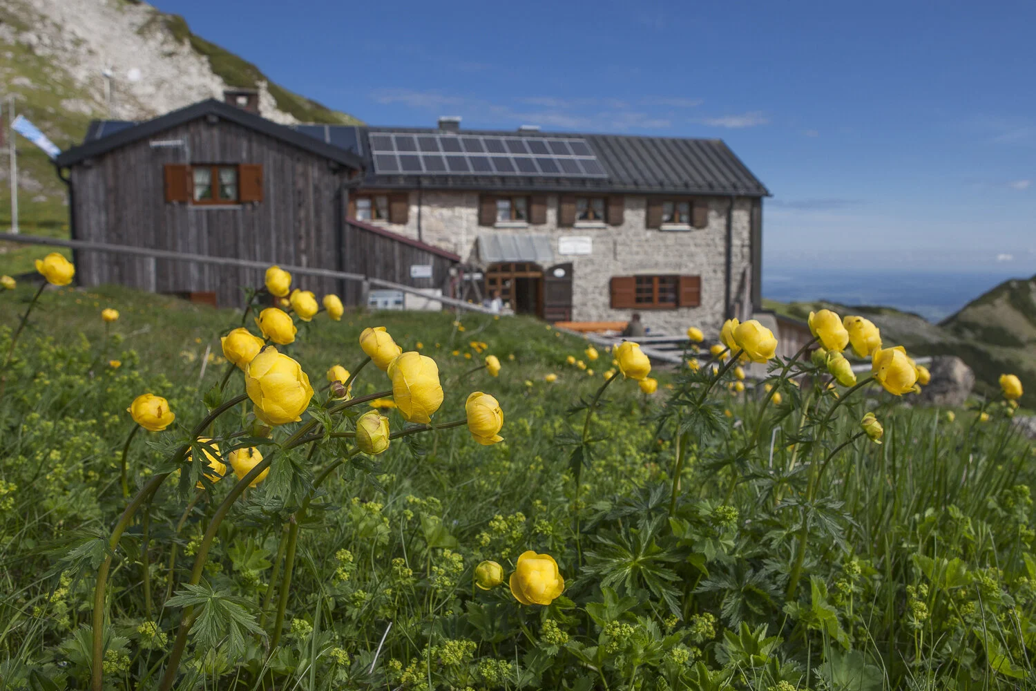 Weilheimer Hütte im Sommer | © DAV/Christian Weiermann Weilheimer Hütte im Sommer - im Vordergrund Trollblumen | © DAV/Christian Weiermann